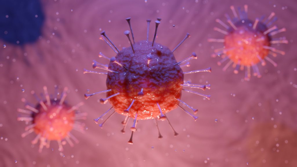 Nuevo coronavirus