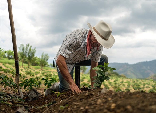 productores agropecuarios