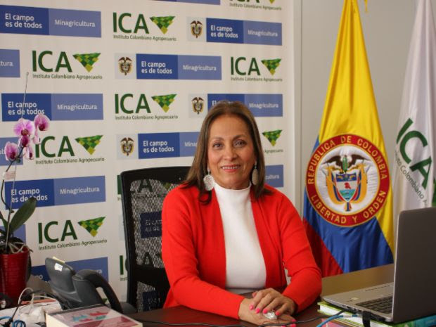 Deyanira Barrero León, gerente general del IC