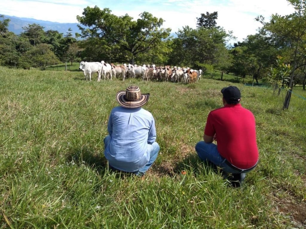 Ganaderos del país interesados en las actividades de la ganadería colombiana