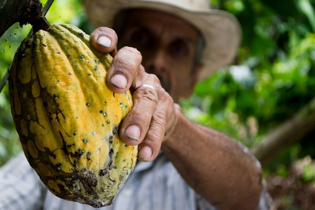 alivios financiero para los campesinos