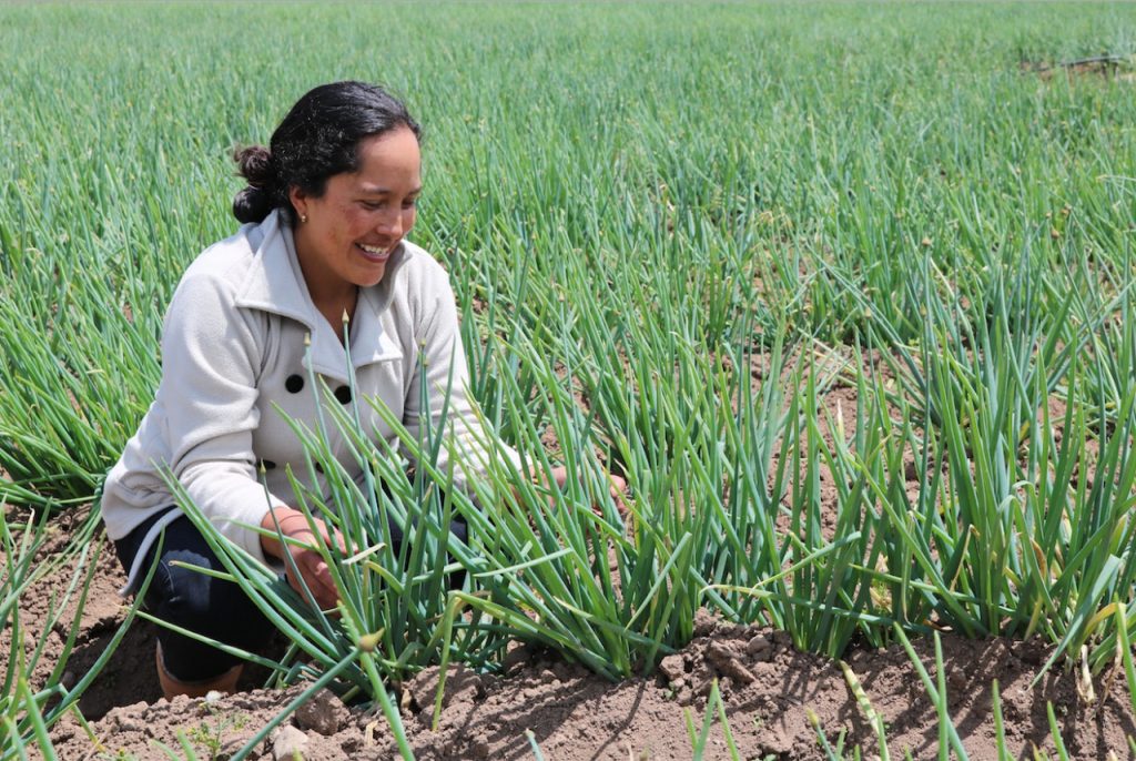 bienes agropecuarios