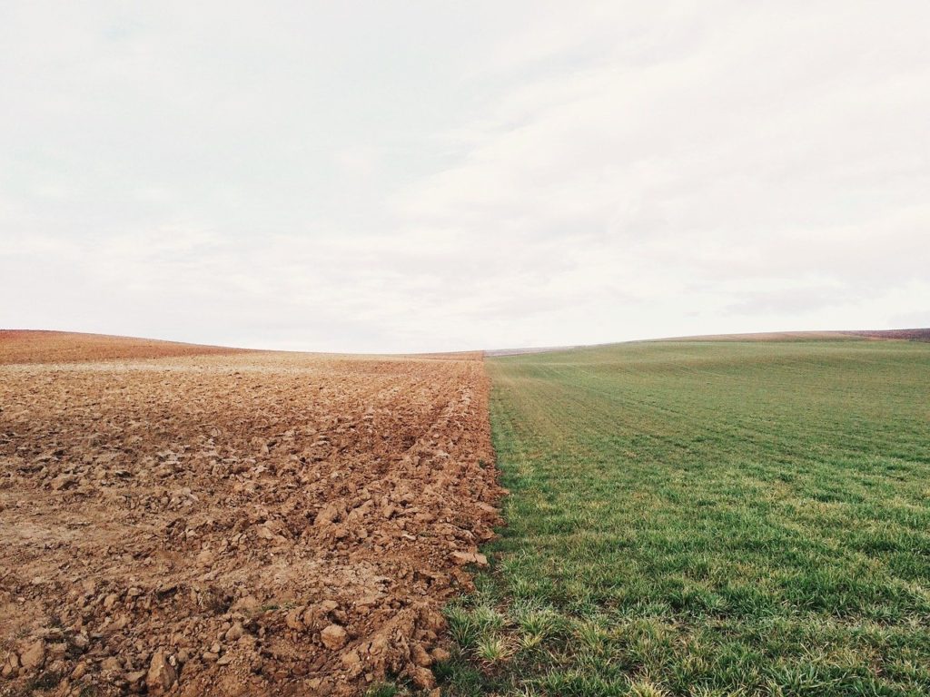 salud del suelo mejora la producción agrícola