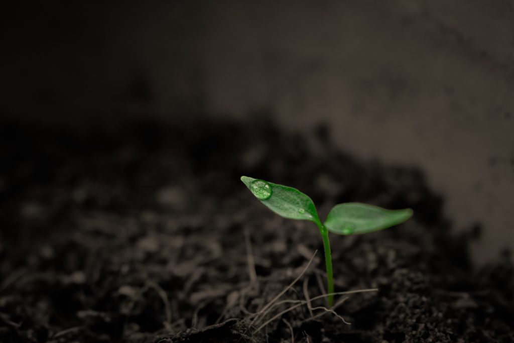 progreso agrícola