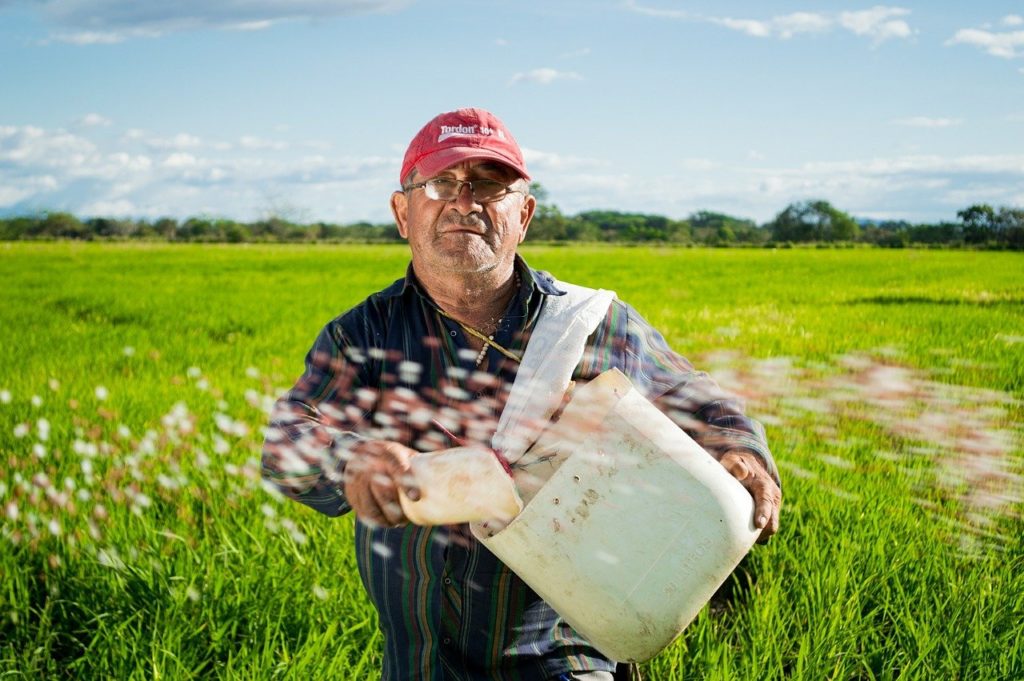 Las iniciativas estudiadas se centran en el sector productivo agrícola y pecuario.