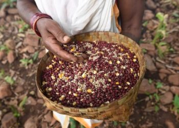 Foto: Katherin Alfonso, tomada en India.