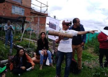 Auge de la agricultura urbana