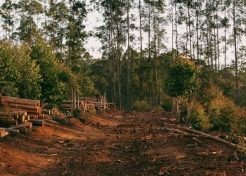 El cambio climático en el Plan Nacional de Desarrollo
