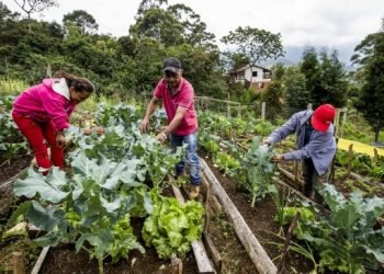 Banco Agrario presentó su portafolio de productos de comercio exterior