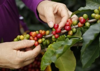 83 Cumbre Cafetera en Cartagena