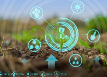 Avances del agro de Brasil