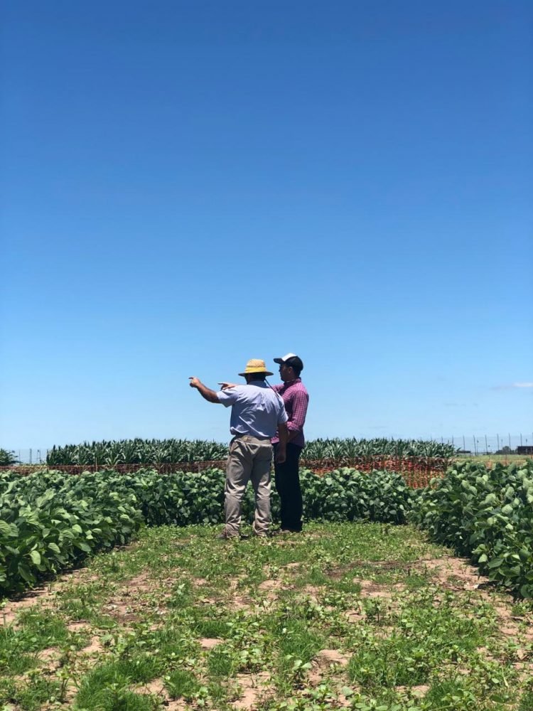 Crédito y garantías Pymes