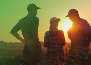 Gran alianza por la nutrición