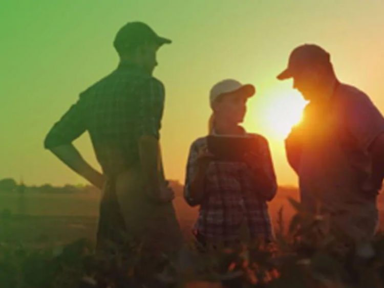 Gran alianza por la nutrición