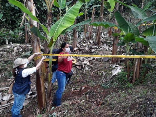 Bioseguridad en el sector pecuario