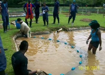 Chocó, enorme potencial biodiverso y agropecuario