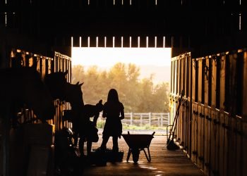 Atención para los caballos ante la covid-19