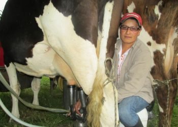 Mayor atención a las mujeres ganaderas