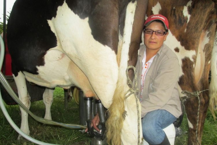 Mayor atención a las mujeres ganaderas