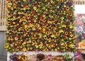 Colombia, tierra de flores