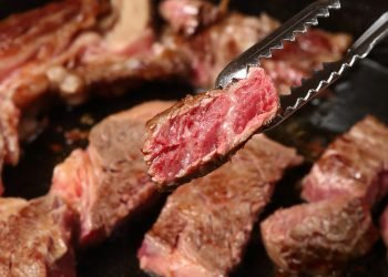 Fortalezas de la carne de res (proteína roja)