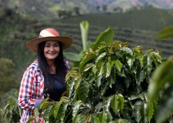 Homenaje a las mujeres caficultoras de Colombia