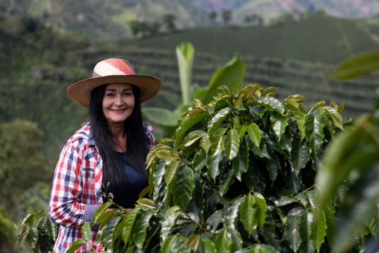 Homenaje a las mujeres caficultoras de Colombia