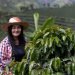 Homenaje a las mujeres caficultoras de Colombia