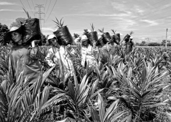 Liderazgo de la Mujer Rural