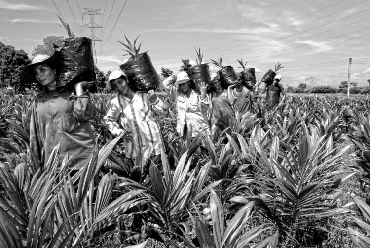 Liderazgo de la Mujer Rural