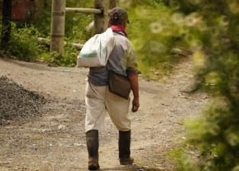 Avanza proyecto de ley de alivios financieros a campesinos colombianos