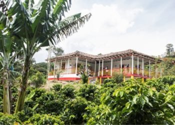 Café, la esperanza de Colombia