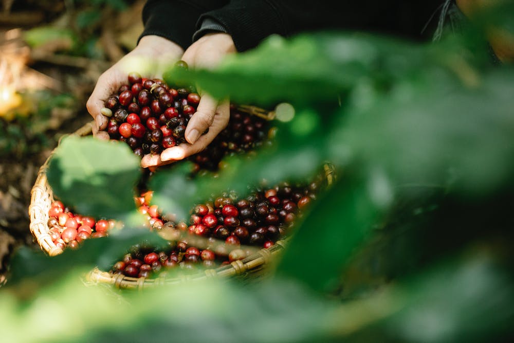 Café Colombiano