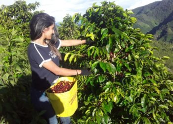 Feria Internacional del Café, el Cacao y el Agroturismo en Huila