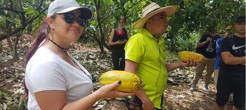 Productores de Cacao