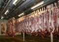 Crecen exportaciones de carne bovina colombiana