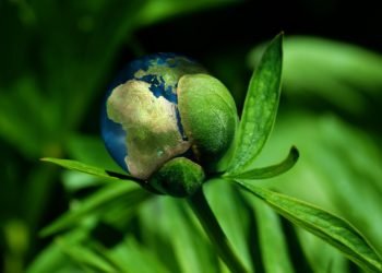 Diálogo de las Américas para el cambio climático