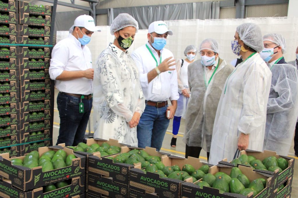 Managro Fresh, productora y exportadora de aguacate hass.