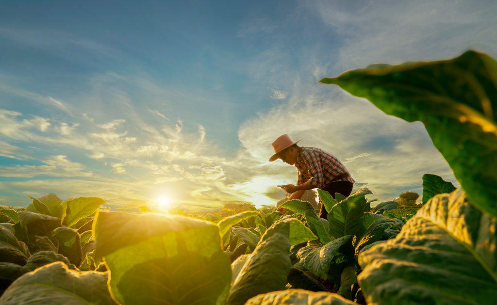  productores y emprendedores agropecuarios