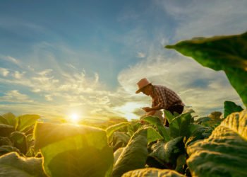 Nueva línea de crédito sostenible para el sector agroindustrial