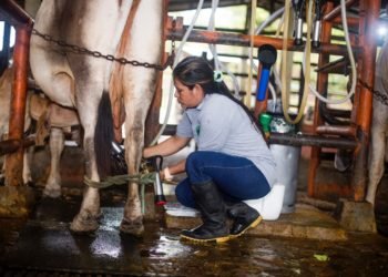 ¡Sí a la Mujer Rural! Mónica, ejemplo de resiliencia
