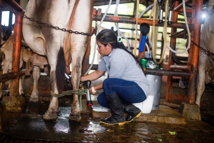 ¡Sí a la Mujer Rural! Mónica, ejemplo de resiliencia