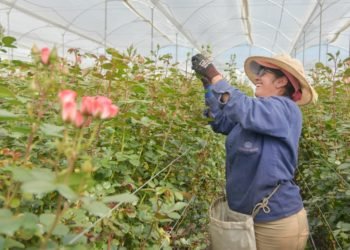 Homenaje a la mujer rural de la floricultura
