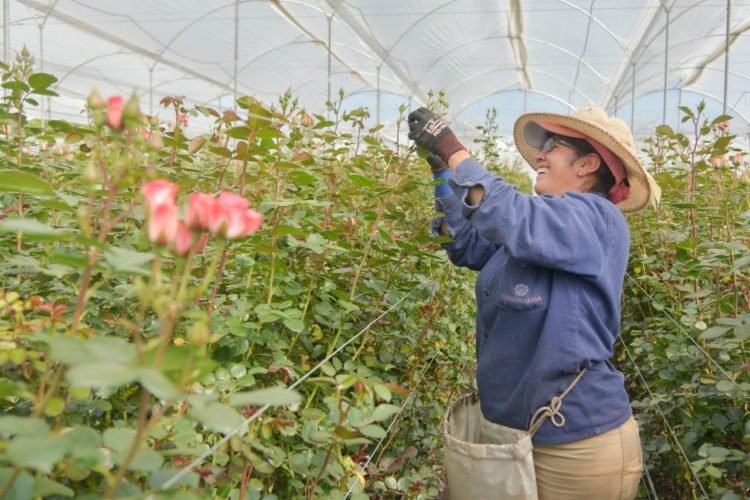Homenaje a la mujer rural de la floricultura