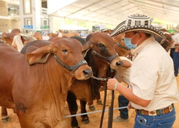 Agroferia en Bucaramanga, agronegocios presenciales