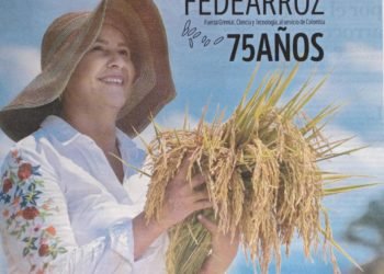 Fedearroz, 75 años de historia agroindustrial en Colombia