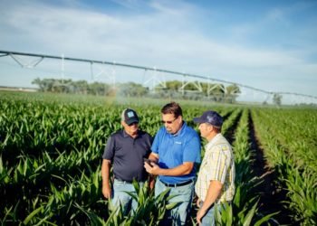 Los sistemas de riego en la agricultura sustentable