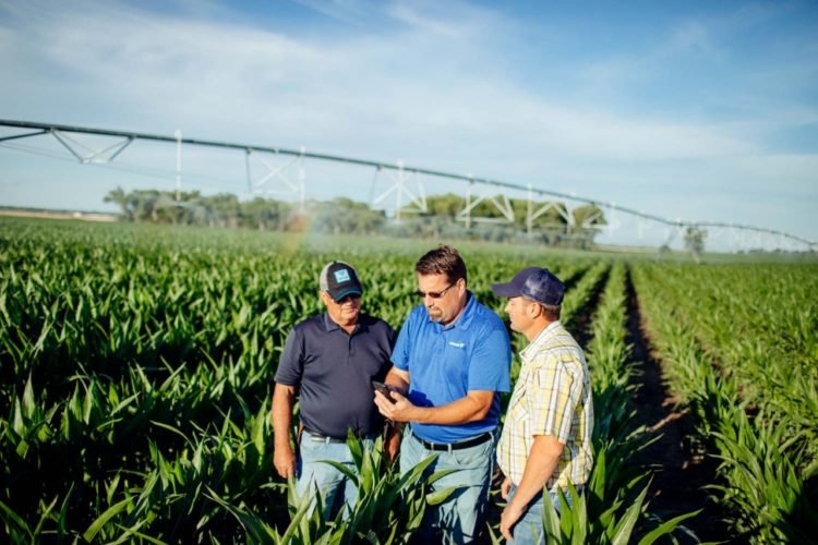 Los sistemas de riego en la agricultura sustentable
