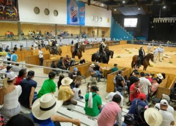 Esta semana es la gran feria ganadera de Santander, Colombia