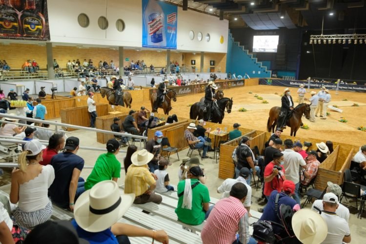 Esta semana es la gran feria ganadera de Santander, Colombia